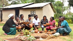 CAFOD and our partner BIBA-Kenya (Biodiversity and Biosafety Association Kenya) recently conducted research into how Kenya’s 2012 seed law has impacted women