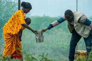 Lokho watering plants inside the shade net, with help from Wakera, a Caritas agroecology expert.