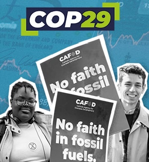 COP29