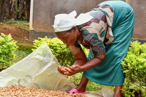 Caroline, a farmer from Busia who specialises in training on indigenous seeds saving and storing