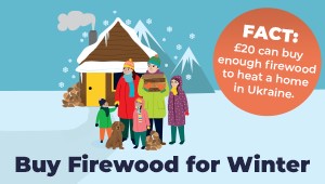 Firewood for Winter
