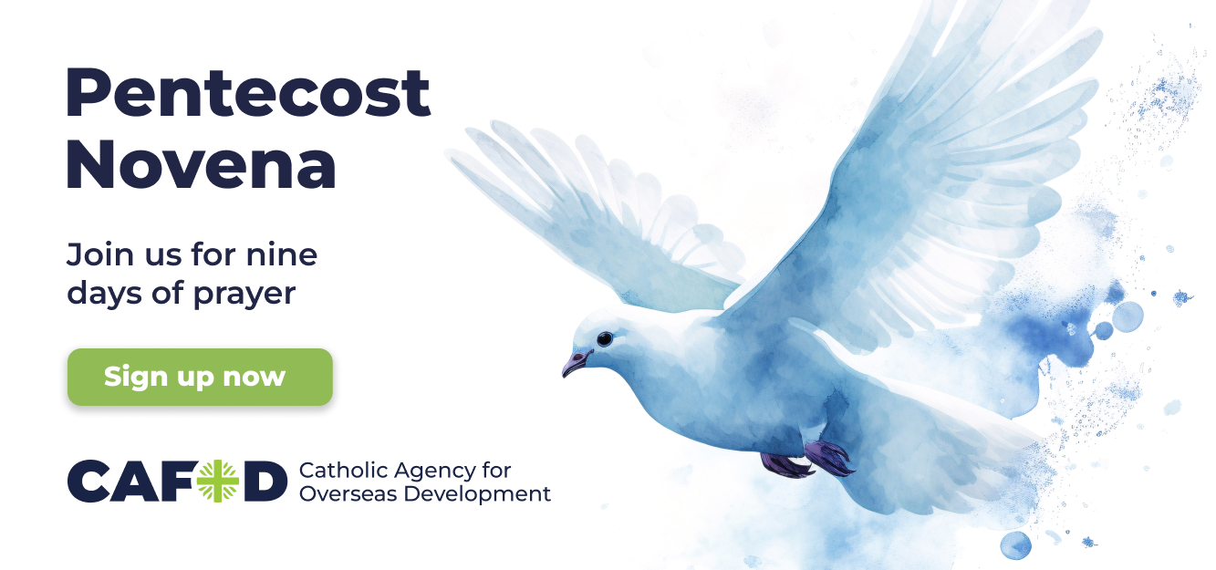 A dove with the text - Pentecost Novena: Join us for nine days of prayer