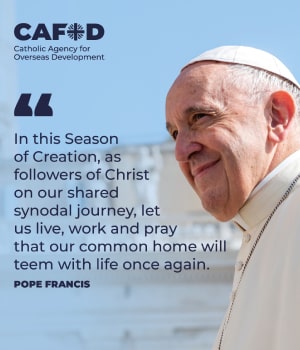 A quote from Pope Francis